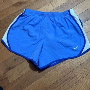 Nike Purplish/ Blue Athletic Shorts